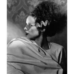 Bride of Frankenstein Elsa Lancester Photo